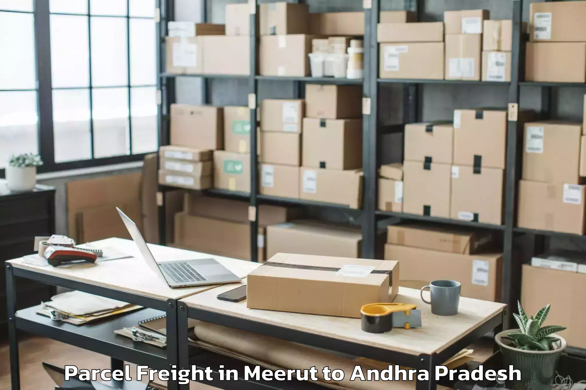 Leading Meerut to Mandapeta Parcel Freight Provider